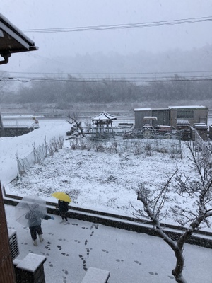 大雪です！